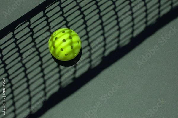 Obraz Pickleball with the net shadow