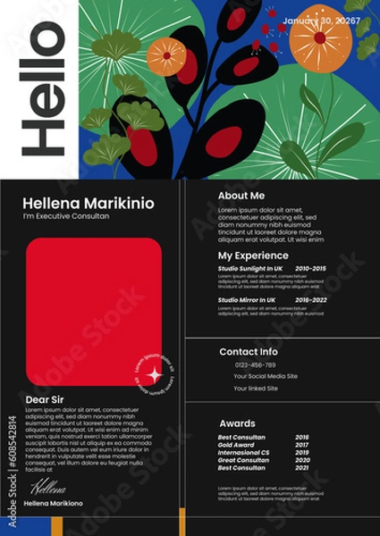 Obraz Professional Resume Design Templates