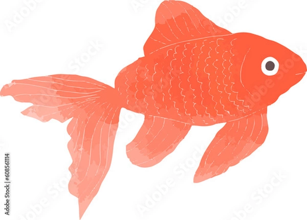 Fototapeta 金魚イラスト