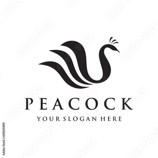 Obraz Creative peacock and peacock feather logo template design-Vector illustration.