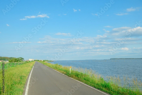 Obraz 夕暮れの帰り道