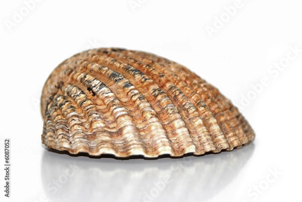 Obraz Strand-Andenken