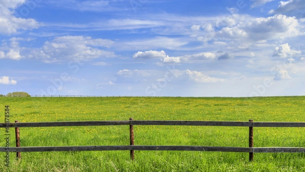 Obraz Holzzaun vor grüner Wiese