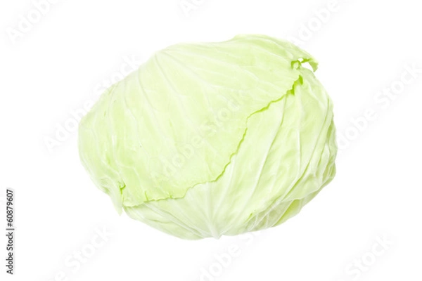 Obraz cabbage