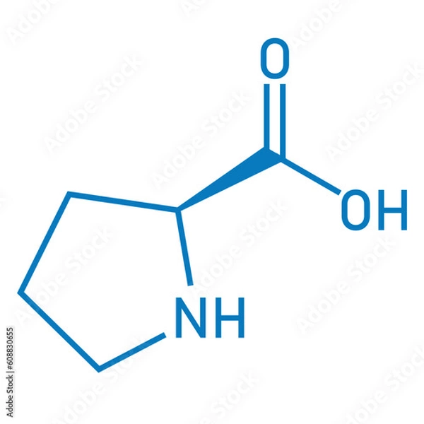 Fototapeta Chemical structure of proline (C5H9NO2). Chemical resources for teachers and students. Vector illustration.