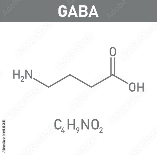 Fototapeta Chemical structure of γ-Aminobutyric acid or gamma-aminobutyric acid or GABA (C4H9NO2). Chemical resources for teachers and students. Vector illustration isolated on white background.
