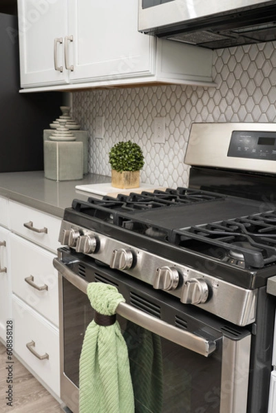 Obraz Modern Kitchen