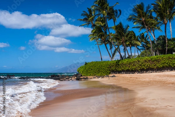 Obraz Maui Beach