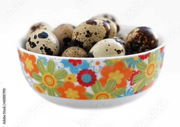 Obraz Quail egg