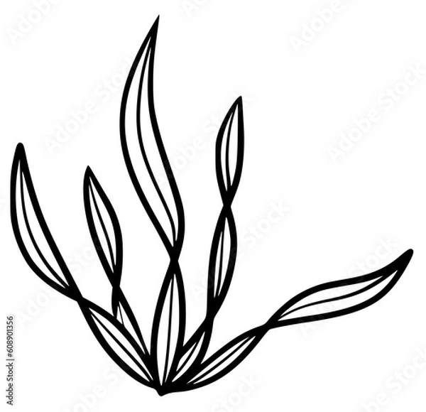 Obraz Seaweed spirulina marine plant black silhouette vector icon. Simple aquarium seaweed hand drawn contour isolated on white background. Black marine beach graphic element.