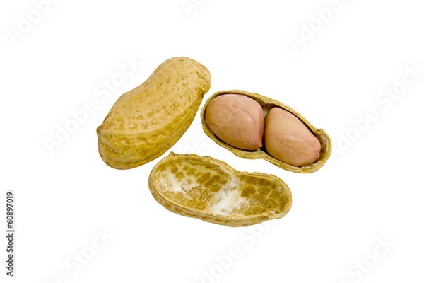 Obraz Peanut isolated on white background