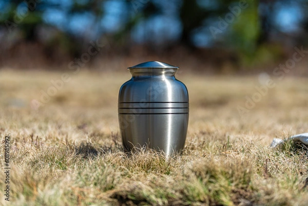 Obraz Urn in the grass