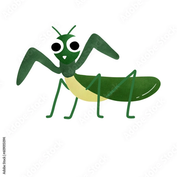 Obraz Grasshopper