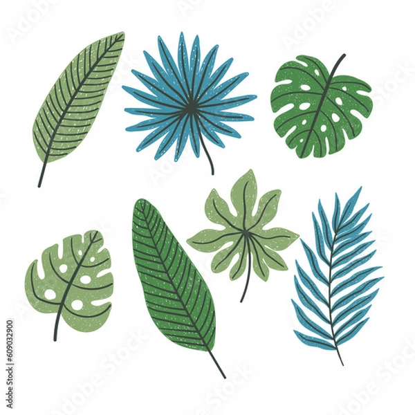 Fototapeta Palm leaves hand drawn on white background, vector clipart