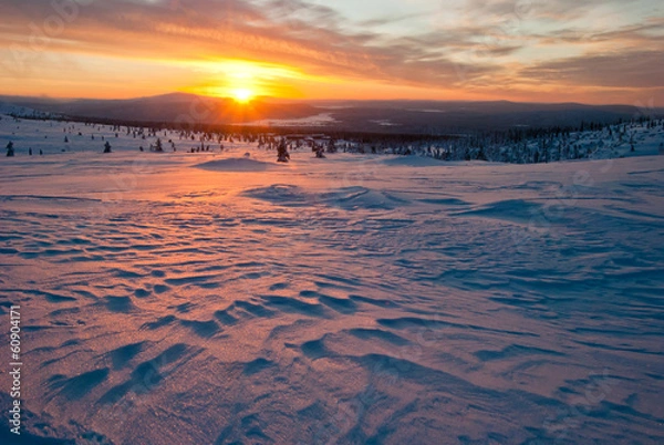 Obraz sunset in the tundra