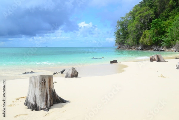 Fototapeta White sand beach on the island with clear sky, few clouds, and tree stumps. Use for natural background, beautiful tropical beach, and sea landscape backdrop.