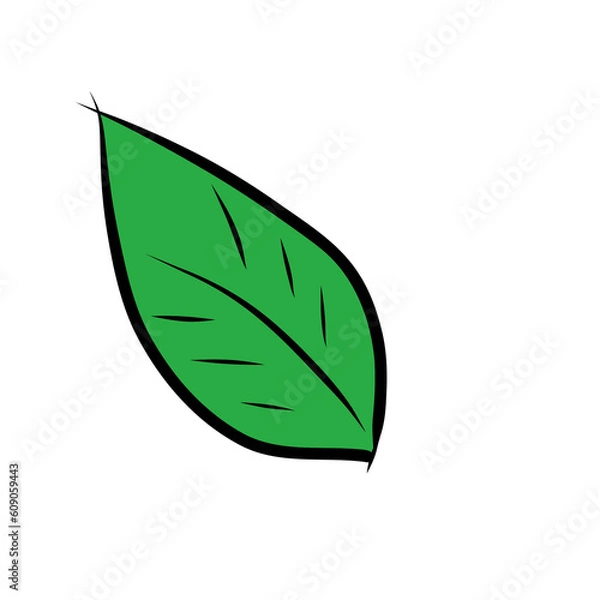 Obraz green leaf icon
