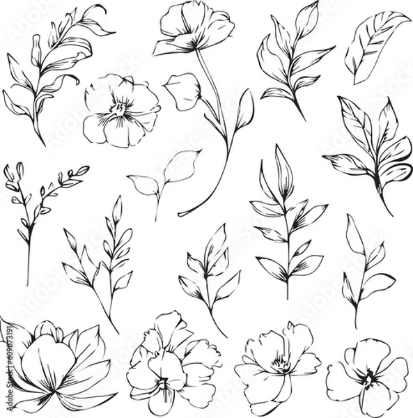 Fototapeta Botanical artwork decor, vector set of botanical leaf simple outline sketch doodle hand drawn illustration, botanical drawings of flowers, botanical drawings of wildflowers, botanical drawings.
