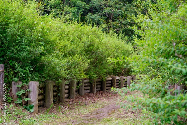 Obraz 小道@府中郷土の森公園
