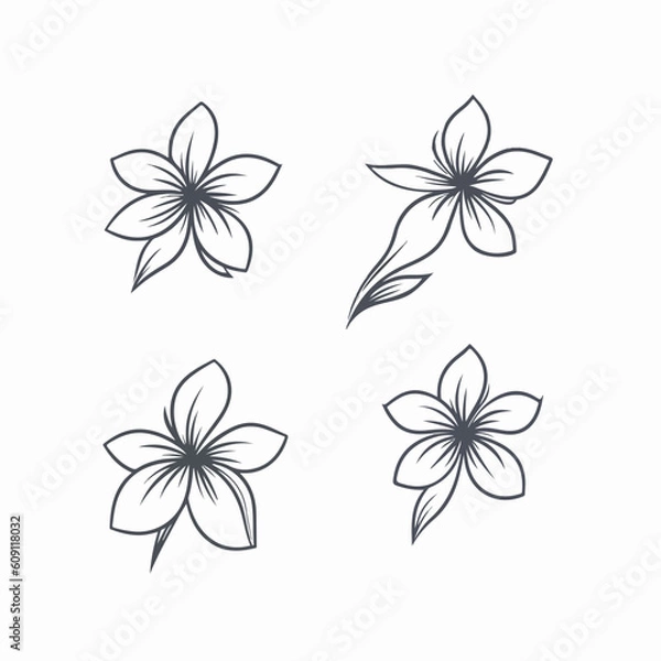 Fototapeta Artistic interpretation of a plumeria with delicate linework.
