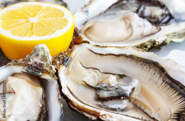 Obraz Fresh oysters on ice with lemon close up