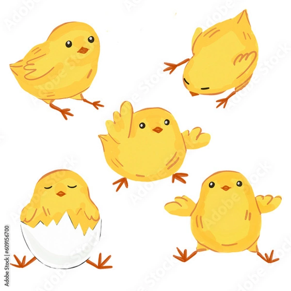 Fototapeta Set of cute chicken