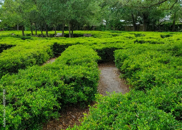 Obraz Bird Island Park Maze