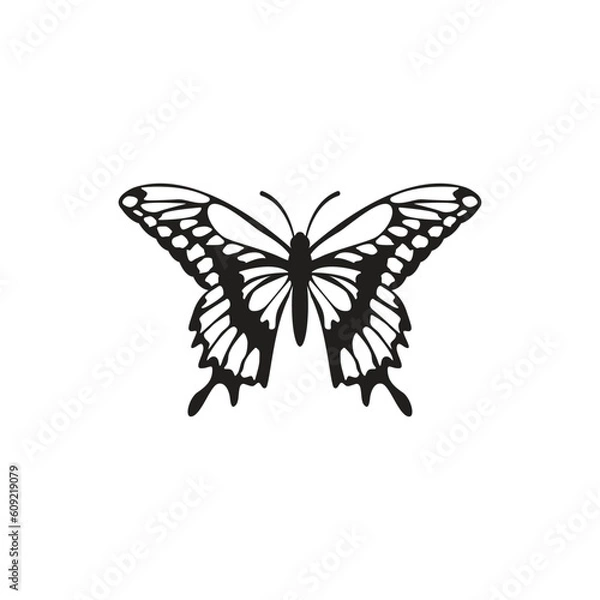 Fototapeta butterfly graphic design