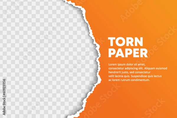 Obraz Vector torn paper semi circle background