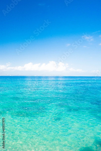 Fototapeta 海と空