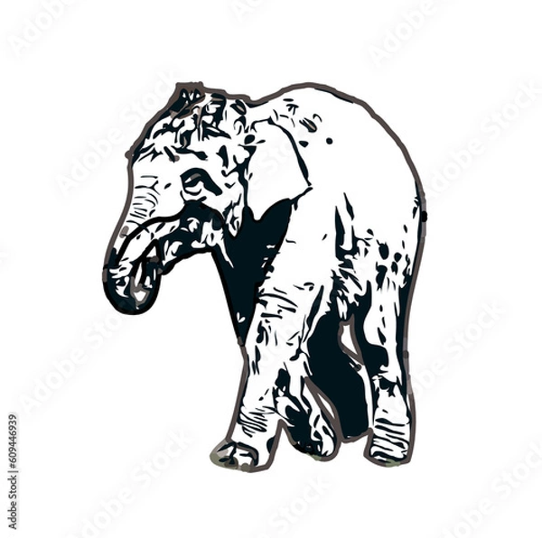 Fototapeta sketch of an elephant with transparent background
