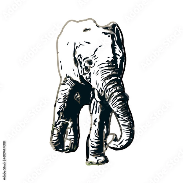 Fototapeta sketch of an elephant with transparent background
