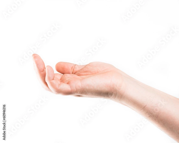 Fototapeta Asking human hand on white background