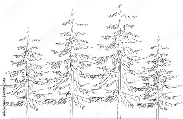 Fototapeta Vector illustration sketch of a forest full of lined trees of various sizes