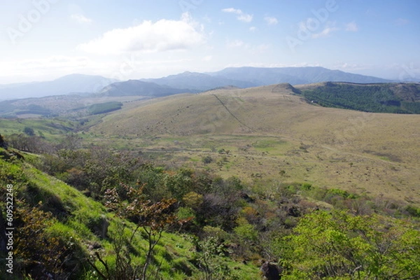 Fototapeta 車山湿原 K3CP8905