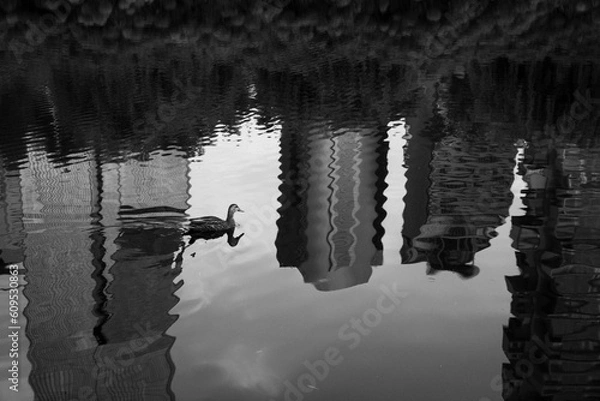 Obraz reflection in water