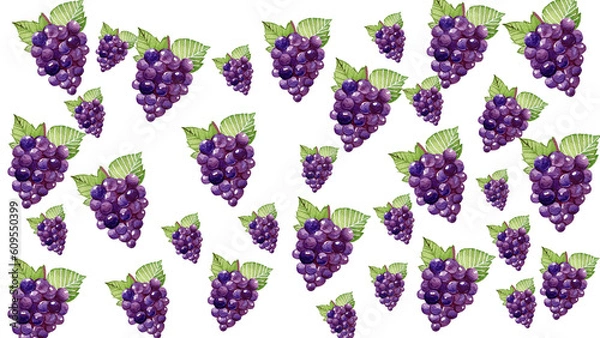 Obraz set of Grape slices patten design seamless pattern white beground for banner, sticker, print, background, and  more