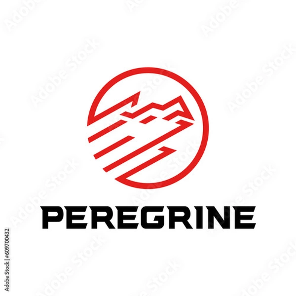 Obraz peregrine logo round