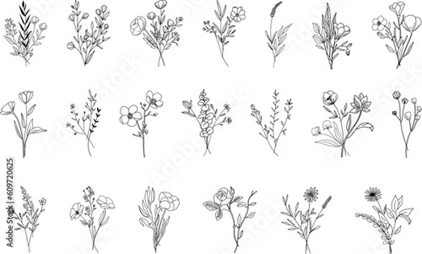 Fototapeta Botanical abstract line arts, hand drawn bouquets of herbs, flowers, leaves and branches, vector illustration