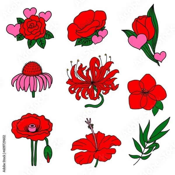Obraz set of poppies. set of red flowers. red flower garden