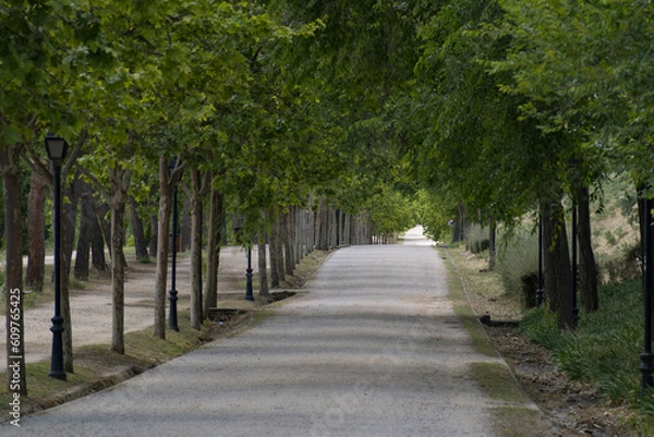 Obraz Camino a través del parque