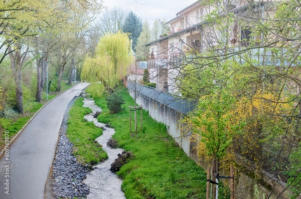 Obraz City Stream in Spring