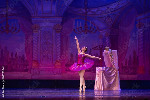 Fototapeta Ballerina expression at recital