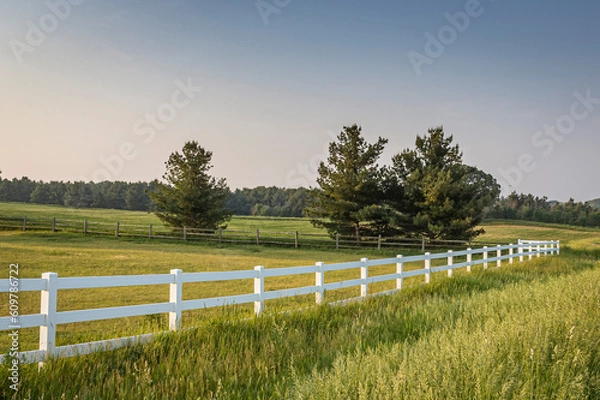 Fototapeta A white board fence along a pasture with white pine trees with a split-rail fence on the other side and a blue sky.