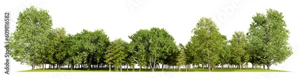 Fototapeta forest line PNG file transparent background, 3d illustration rendering
