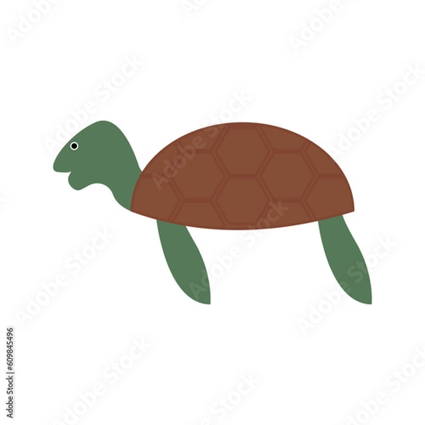 Obraz Turtle isolated on white background. Cute sea tortoise. Flat clip art of ocean creature. Cartoon vector illustration