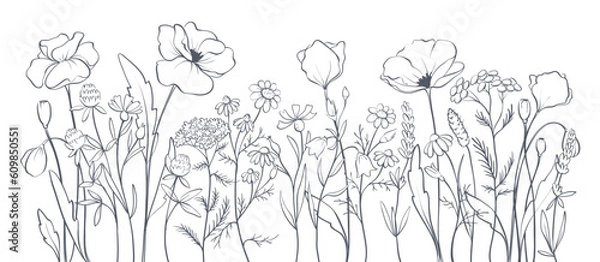 Fototapeta Poppies and other wild flowers. Sketch in lines, freehand drawing. Vector illustration, summer background, flower meadow.	