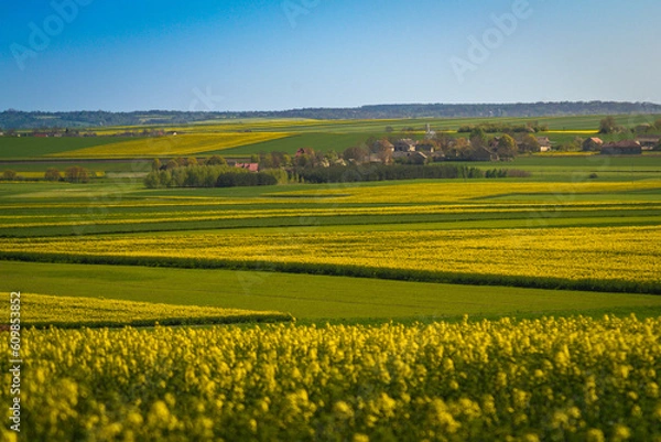 Obraz Miasteczko w rzepaku