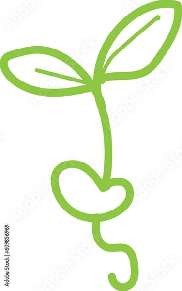 Fototapeta Leaf Line Sprout