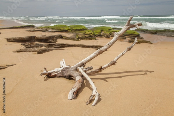 Obraz Goukamma NR, Südafrika